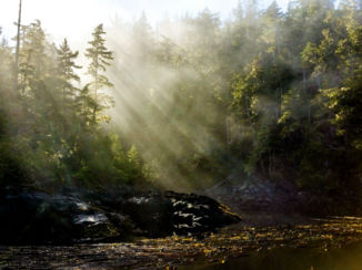 Canada - Wasvissentocht