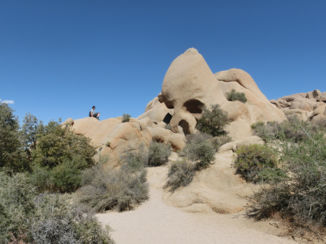 Verenigde Staten - Skull Rock in Joshua Tree Park