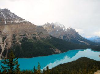 Jasper National Park - Peyto Lake