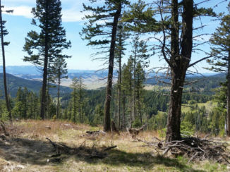 Canada - Uitzicht foothills Rocky Mountains