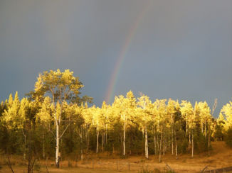 Canada - Cariboo, B.C.
