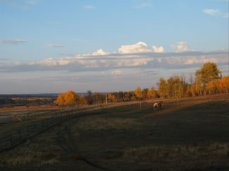 Canada - 100 mile house British columbia