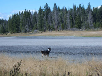 Canada - Mosche Lake B.C .