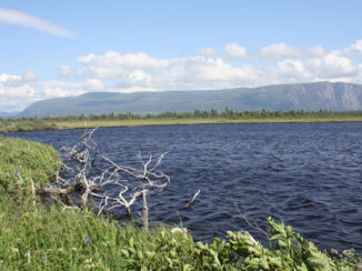 Newfoundland - Gros Morne