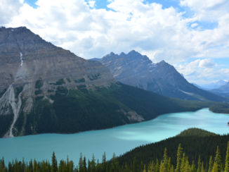 Lake Peyto