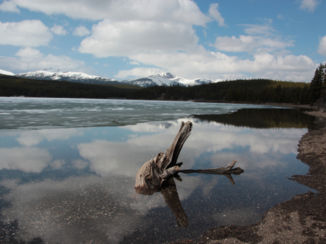 Banff National Park - Lake Maligne