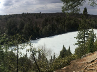 Algonquin provincial park