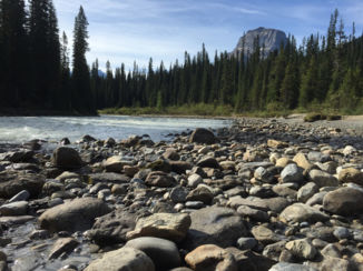 Banff National Park - Takakkaw Falls
