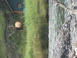 Banff National Park - Banff golfcourse