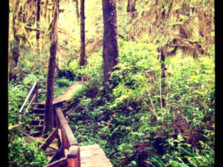 Vancouver Island - Tofino