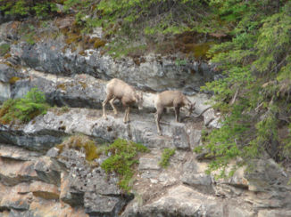 Canada