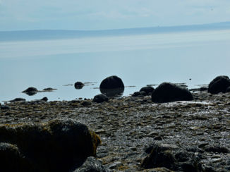 SNP Natuurreizen - Port Wade, Nova Scotia