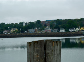 SNP Natuurreizen - Digby, Nova Scotia