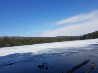 Algonquin provincial park