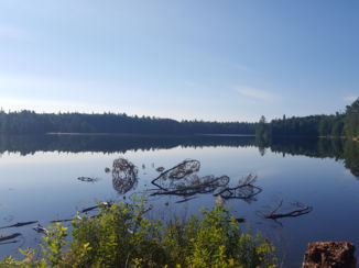 Algonquin provincial park