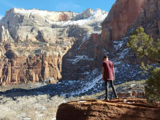 Grand Canyon - Zion national park / USA