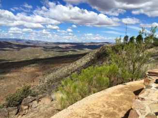 Verenigde Staten - Bumble Bee