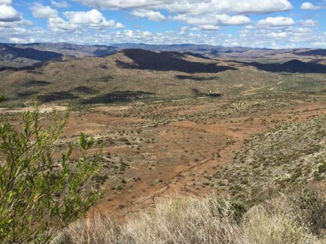 Verenigde Staten - Bumble Bre