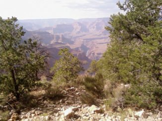 Grand Canyon - Ik zie de overkant.