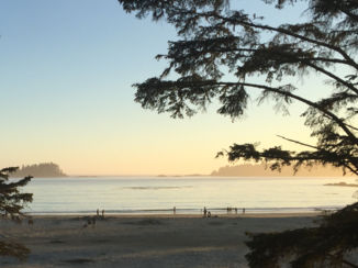 Canada - MacKenzie beach nabij Tofino