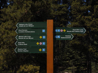 Jasper National Park - where to ?