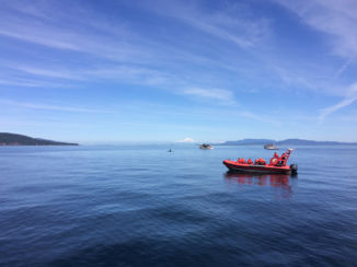 Canada - Walvisvaart