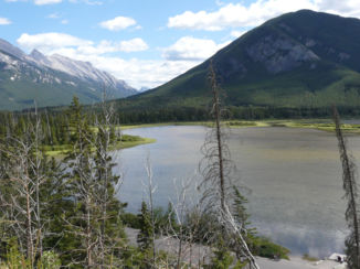 Banff National Park - Vermillions Lakes