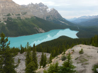 Banff National Park - Peyto Lake