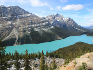 Banff National Park - Peyto Lake