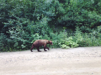 Jasper National Park