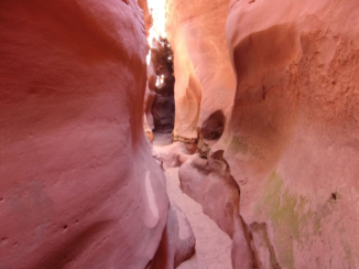Verenigde Staten - Bighorn slot canyon, Escalante