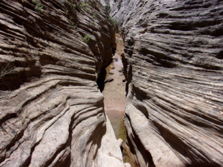 Verenigde Staten - Jolley Gulch, Zion NP