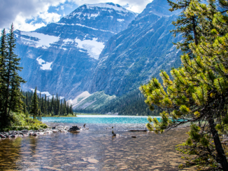 Jasper National Park - Cavell Lake