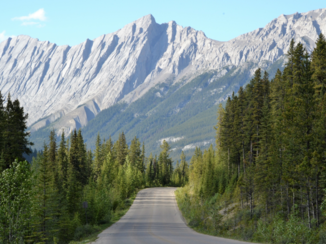 Canada - Prachtige Ice Field Parkway