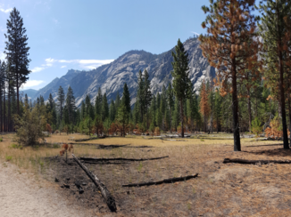 Verenigde Staten - Kings Canyon & Sequoia NPs