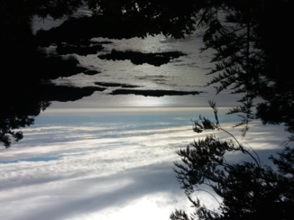 Vancouver Island - Pacific Rim