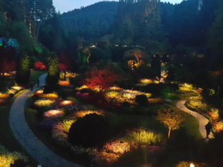 Canada - Butchert Garden at night