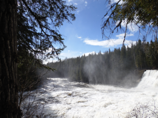 Wells Gray provincial park