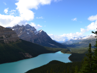 Canada - Peyto lake