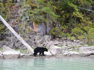 Canada - Blue river.