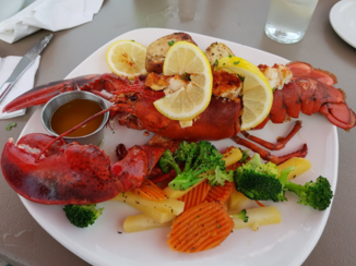 Nova Scotia - Kreeft