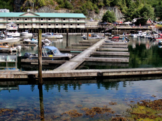 Canada - Telegraph cove