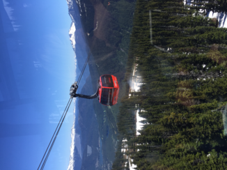 Whistler Mountain - Gondola