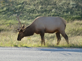 Canada - Gewoon langs de weg