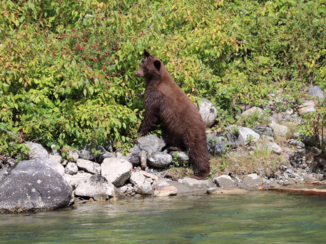 Canada - Beer in Lillooet