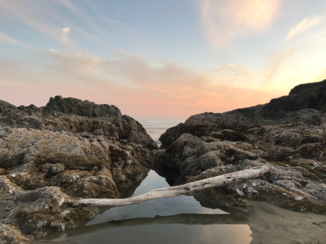 Vancouver Island - Long Beach