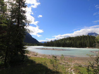 Jasper National Park - Langs de Icefield Pkwy tussen Jasper en Banff zie je de mooiste landschappen.