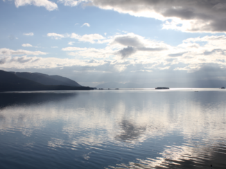 Verenigde Staten - cruise Alaska tracy arm fjord