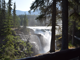 Canada - Athabasca Falls