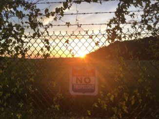 Verenigde Staten - Savannah sunset